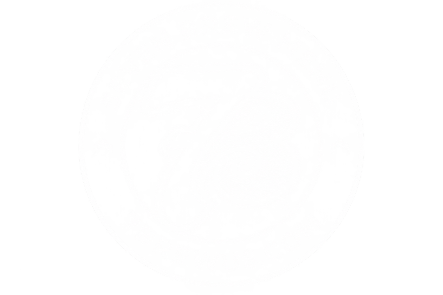 7 Brew